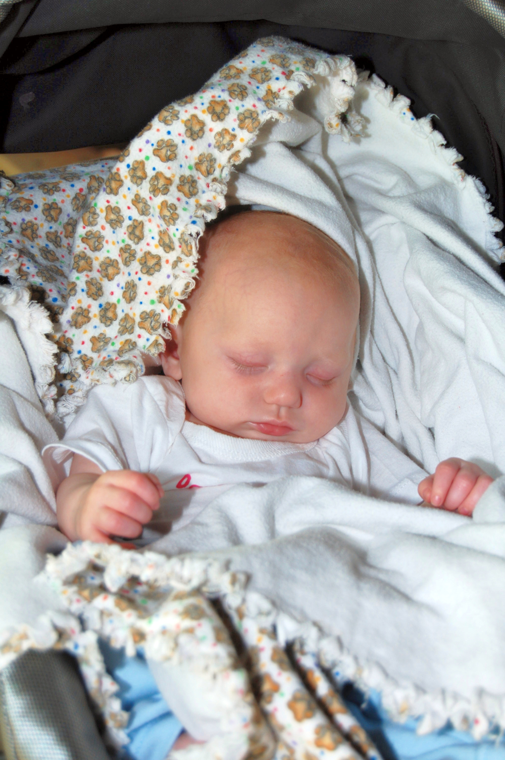 stebbins class of 1988 20th reunion baby