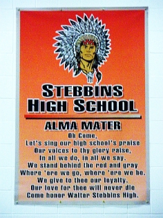 stebbins alma mater