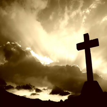 memorial image for steve york