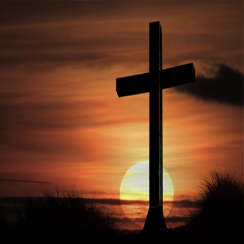 memorial image for holly middleton